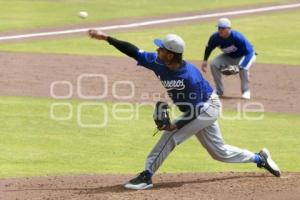 BÉISBOL . PRETEMPORADA PERICOS