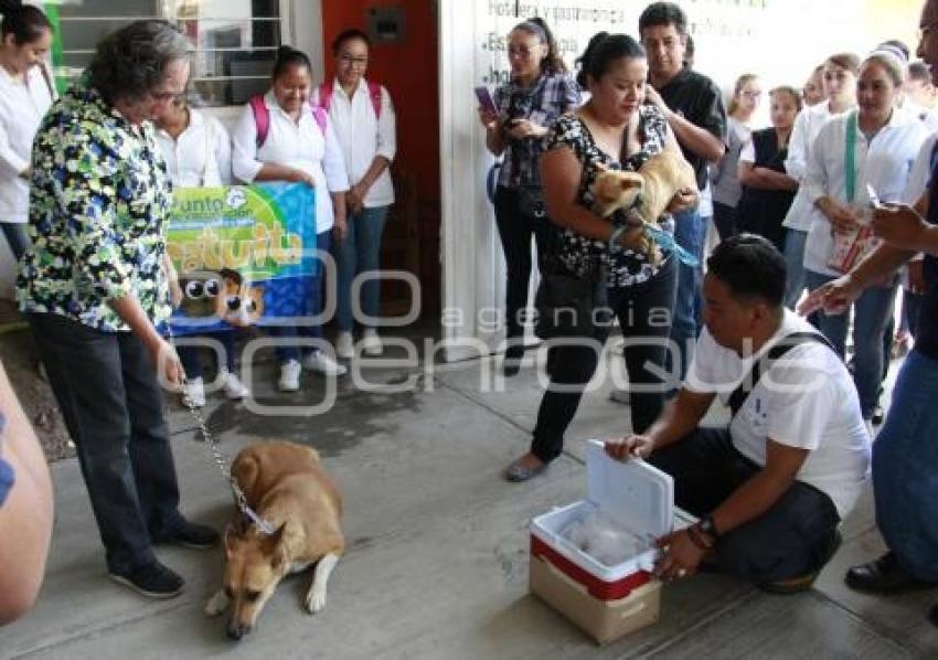 SEMANA VACUNACIÓN ANTIRRÁBICA . ACATLÁN