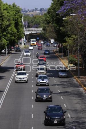 TRÁFICO VEHICULAR