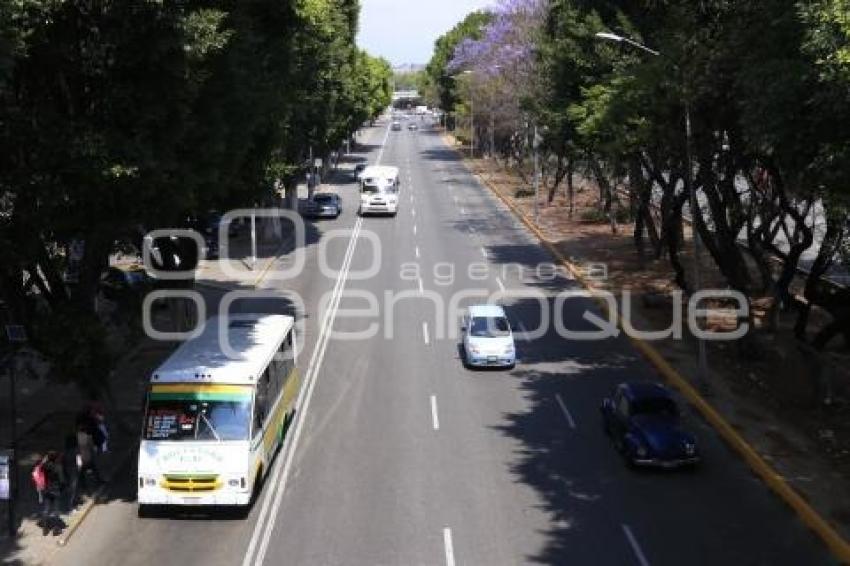 TRÁFICO VEHICULAR