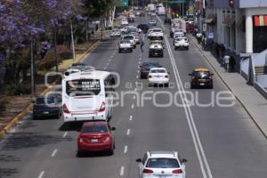 TRÁFICO VEHICULAR