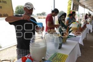 CONCURSO DE PULQUE