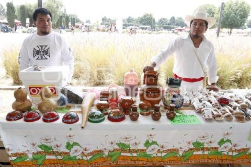 CONCURSO DE PULQUE