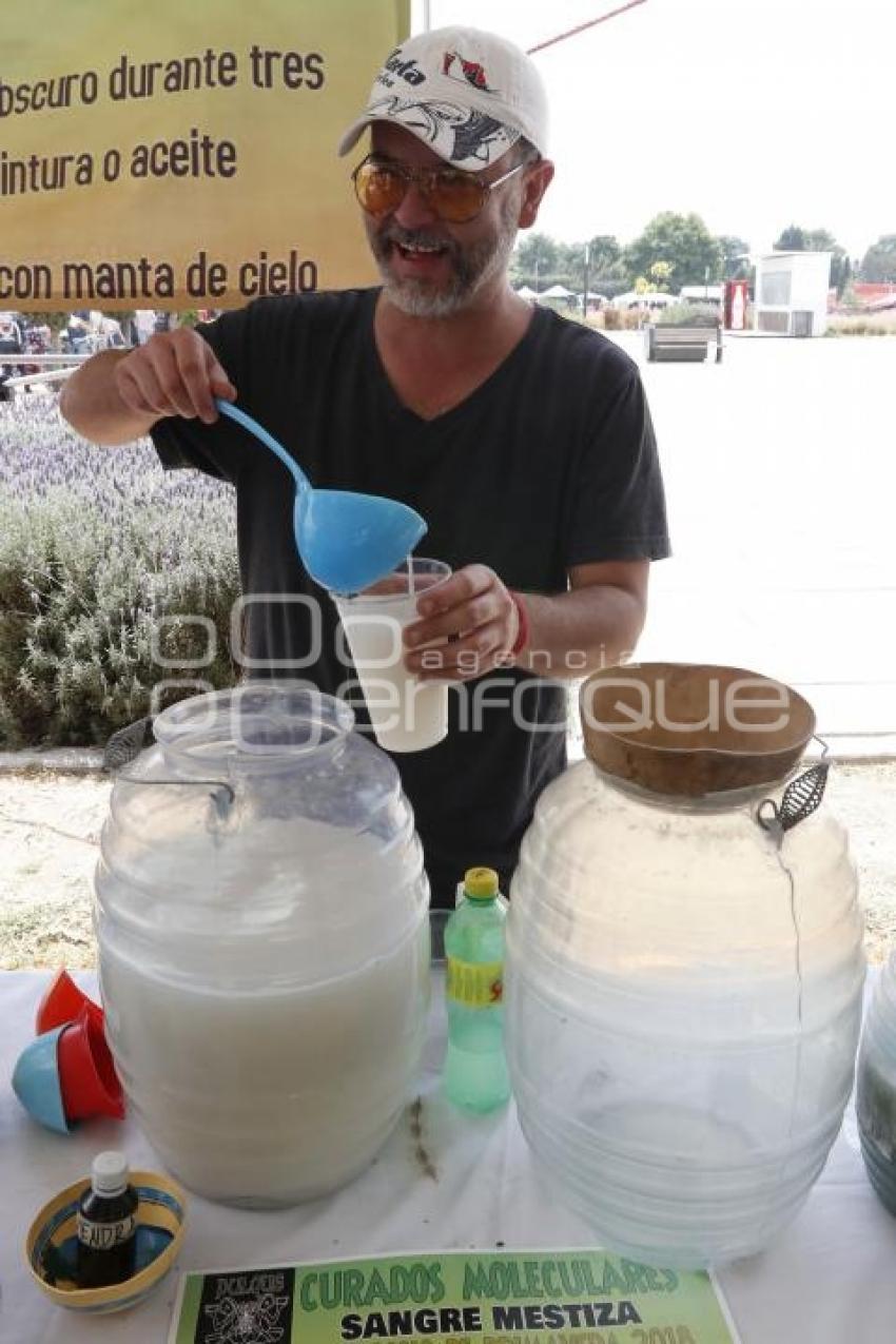 CONCURSO DE PULQUE