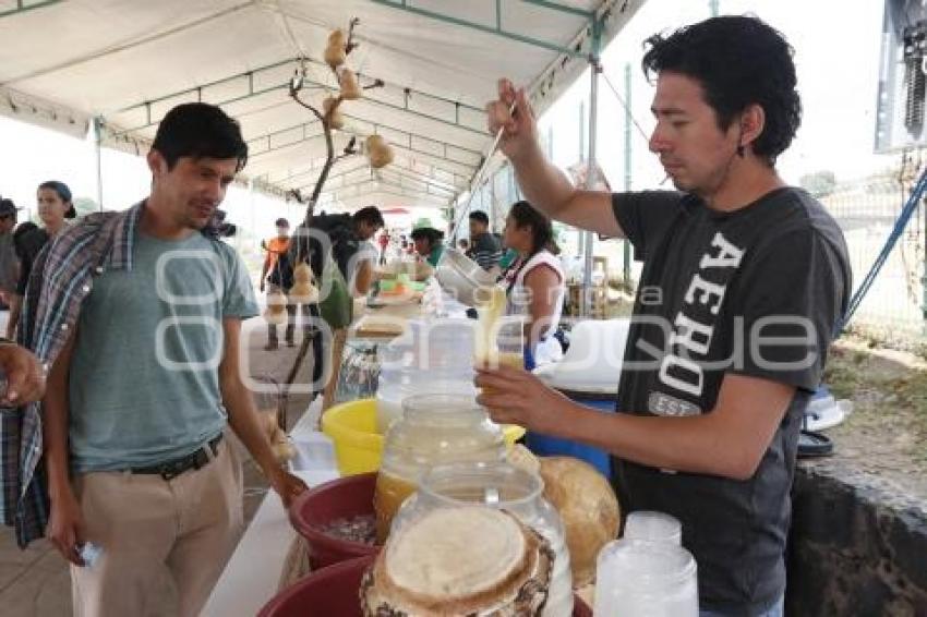 CONCURSO DE PULQUE