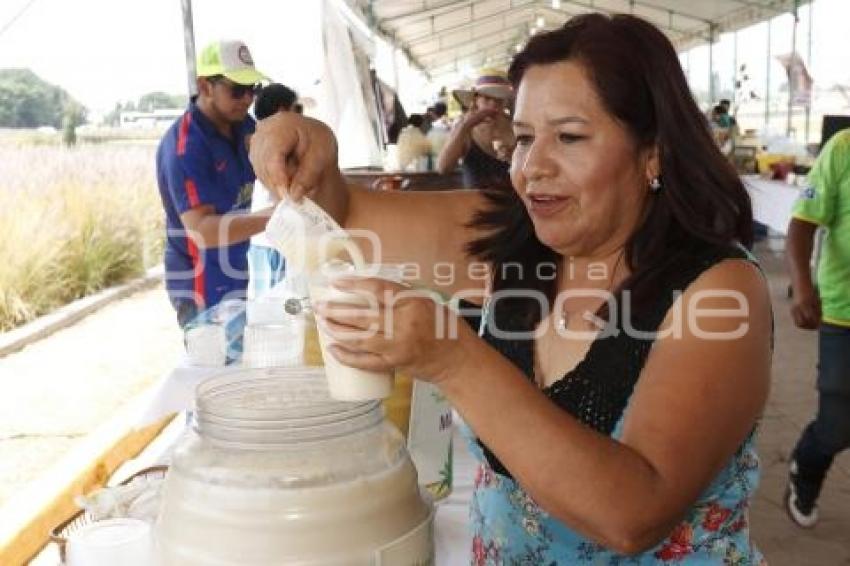 CONCURSO DE PULQUE