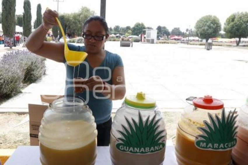 CONCURSO DE PULQUE