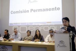 CONGRESO . COMISIÓN PERMANENTE