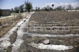 AFECTACIONES GRANIZADA