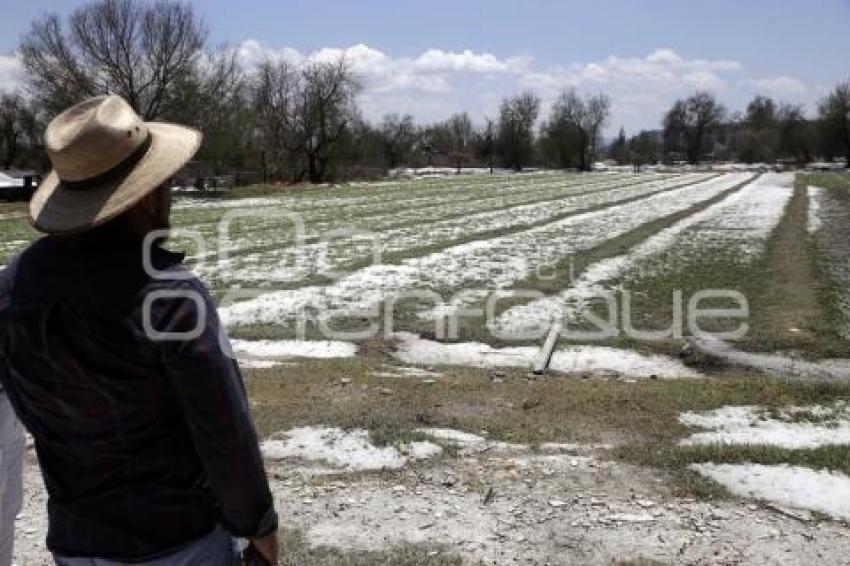 AFECTACIONES GRANIZADA