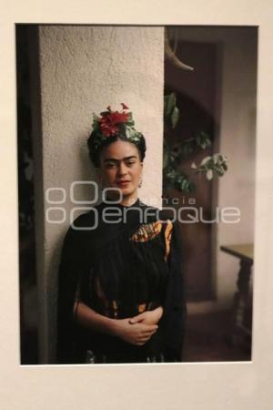 EXPOSICIÓN FRIDA KAHLO