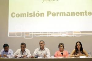 CONGRESO . COMISIÓN PERMANENTE