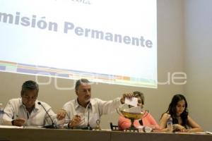 CONGRESO . COMISIÓN PERMANENTE