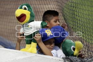 BÉISBOL . PERICOS VS BRAVOS