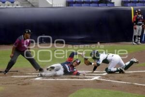 BÉISBOL . PERICOS VS BRAVOS