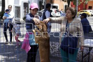 JORNADA DE ADOPCIÓN CANINA