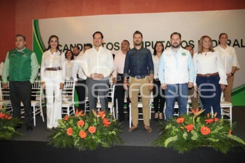 PVEM . CANDIDATOS DIPUTADOS FEDERALES