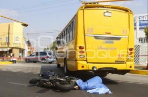 MOTOCICLISTA ATROPELLADO