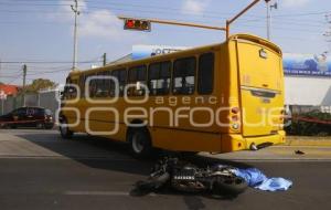 MOTOCICLISTA ATROPELLADO