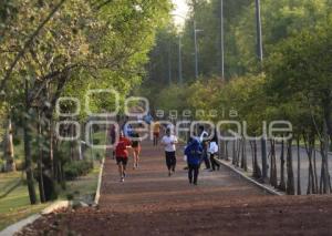 OBRAS EMBLEMÁTICAS RMV