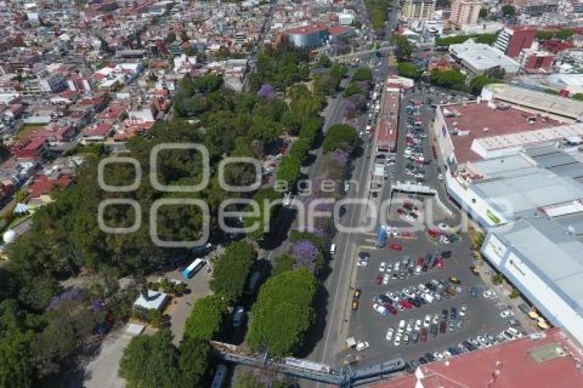 PARQUE BENITO JUÁREZ