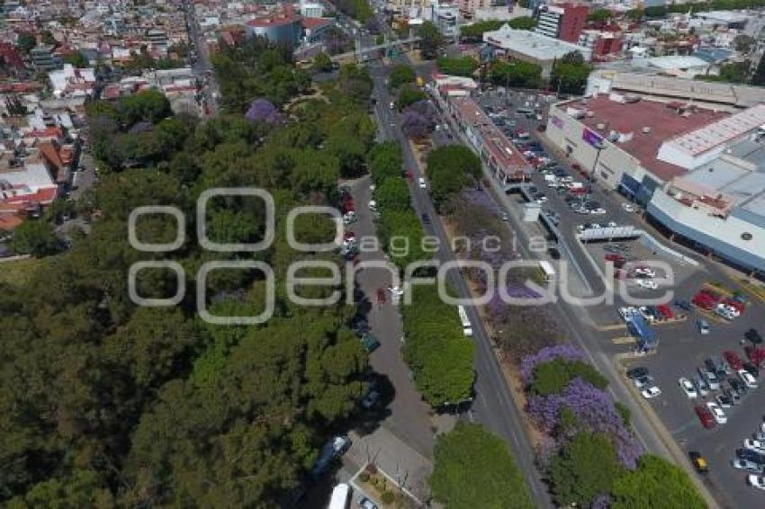 PARQUE BENITO JUÁREZ