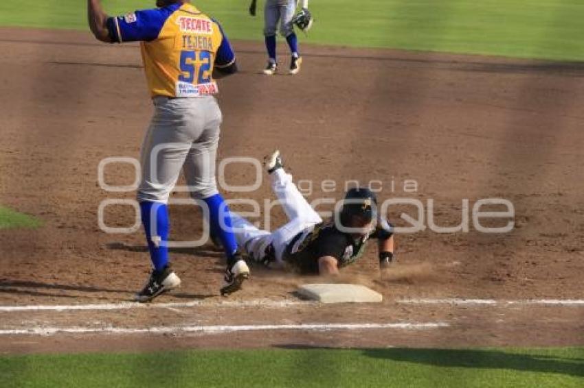 BEISBOL . PERICOS VS OLMECAS