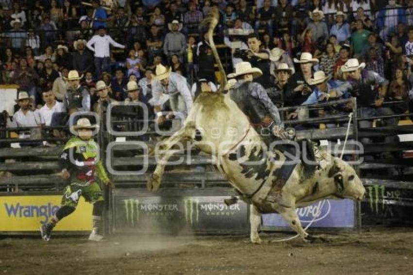 FERIA DE PUEBLA .  CUERNOS CHUECOS