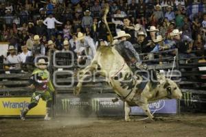 FERIA DE PUEBLA .  CUERNOS CHUECOS