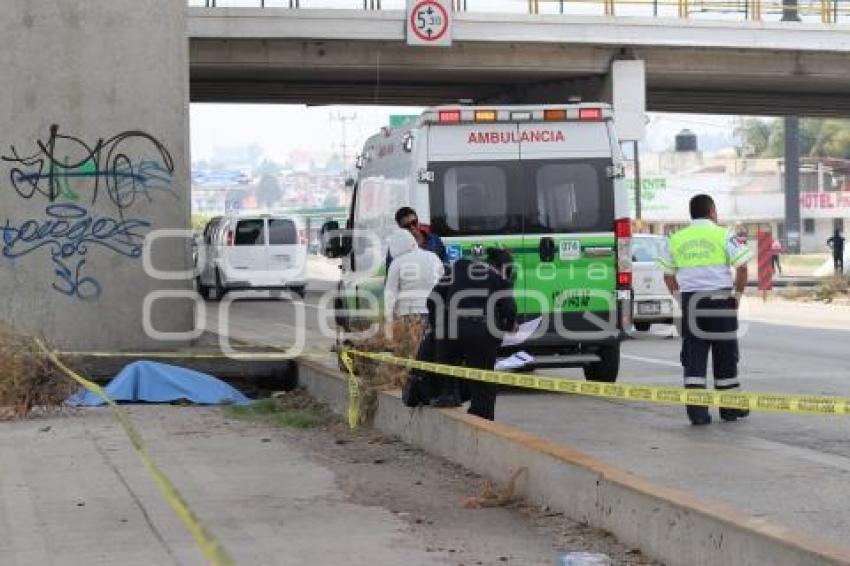 GOLPEADO . AUTOPISTA