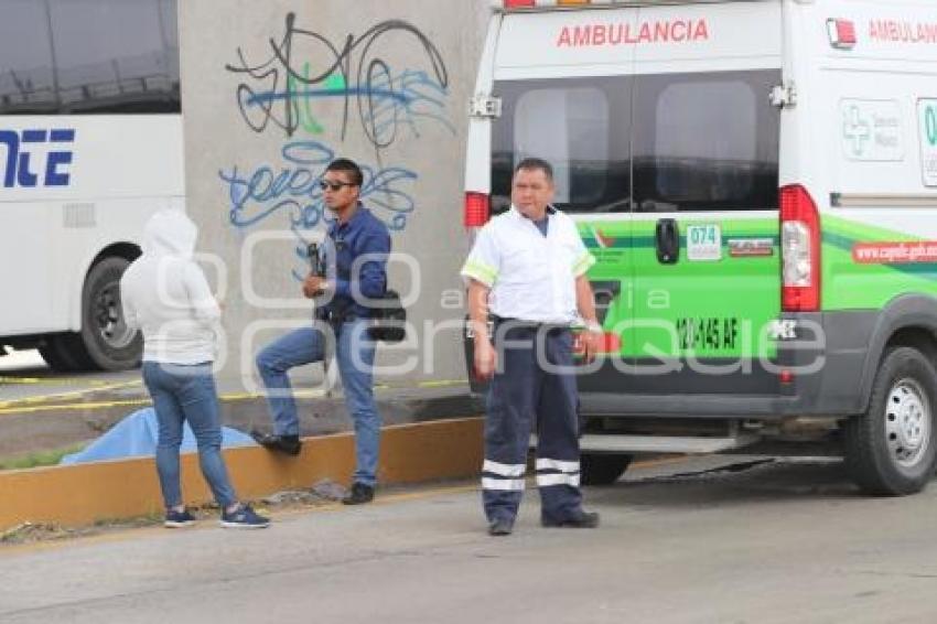 GOLPEADO . AUTOPISTA