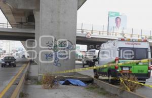 GOLPEADO . AUTOPISTA