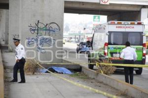 GOLPEADO . AUTOPISTA