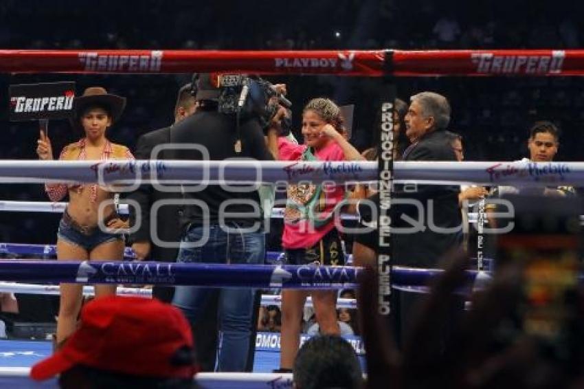 BOX . CAMPEONATO MUNDIAL WBC