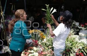 DÍA DE LAS MADRES . PANTEÓN