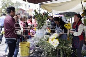 DÍA DE LAS MADRES . PANTEÓN