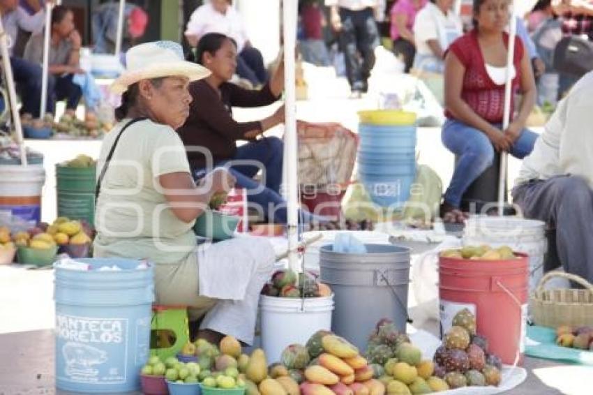 PITAYAS Y MANGOS . ACATLÁN