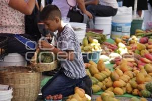 PITAYAS Y MANGOS . ACATLÁN