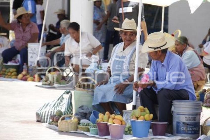 PITAYAS Y MANGOS . ACATLÁN