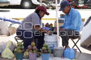 PITAYAS Y MANGOS . ACATLÁN