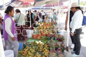 PITAYAS Y MANGOS . ACATLÁN