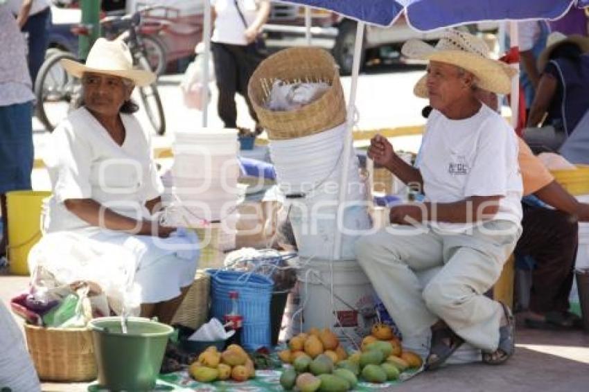 PITAYAS Y MANGOS . ACATLÁN