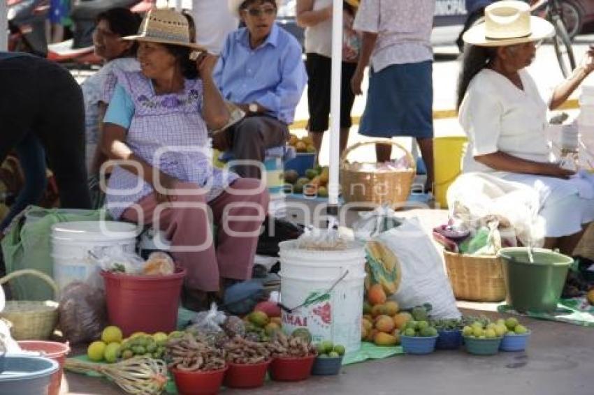 PITAYAS Y MANGOS . ACATLÁN