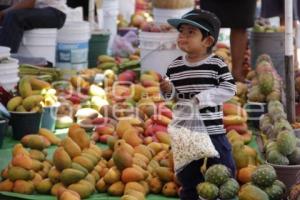 PITAYAS Y MANGOS . ACATLÁN