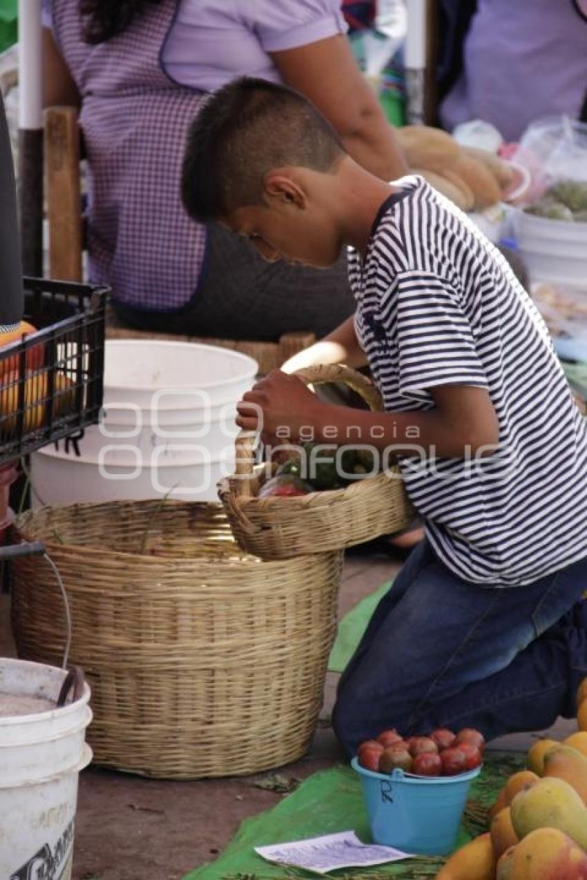 PITAYAS Y MANGOS . ACATLÁN