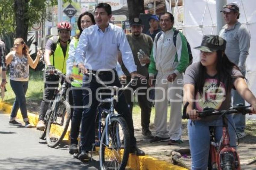 CAMPAÑA . EDUARDO RIVERA