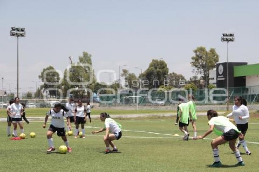 LOBOS BUAP FEMENIL