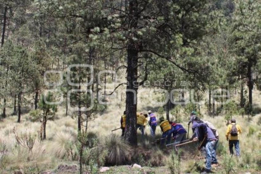 INCENDIO . TLAHUAPAN