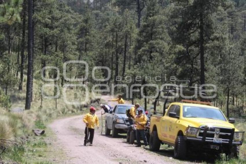 INCENDIO . TLAHUAPAN