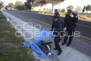 ACCIDENTE . ATROPELLADO EN AUTOPISTA